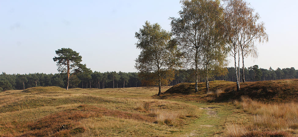 natuur utrechtse heuvelrug