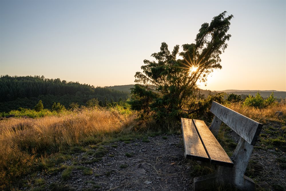 uitje nederland hotel am park stadtkyll