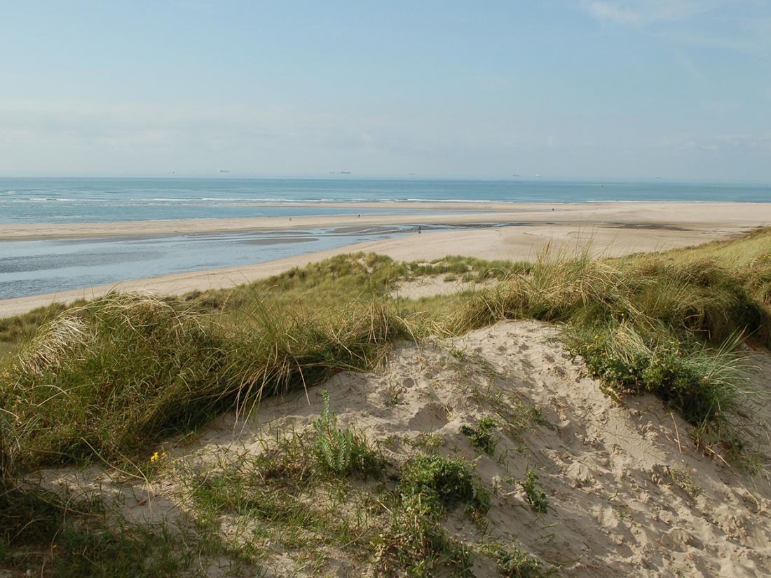 Carlton Oasis Spijkenisse Maasvlakte Duinen