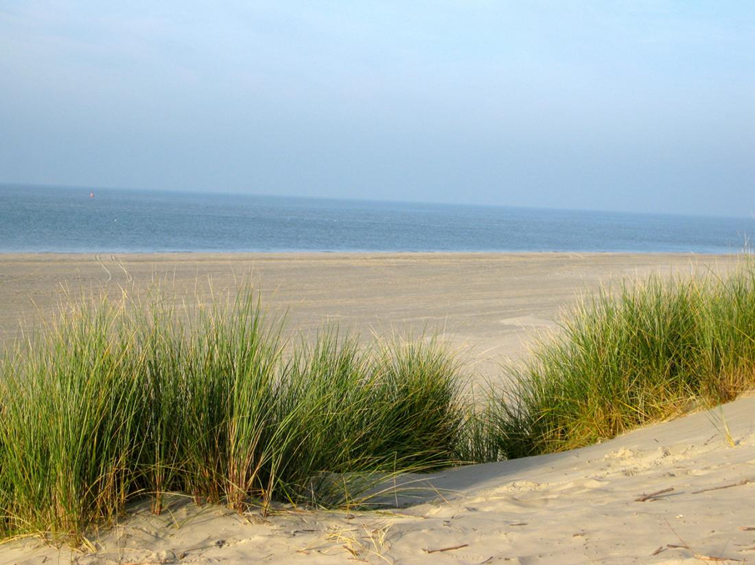 Omgeving hotelaanbieding ameland kust