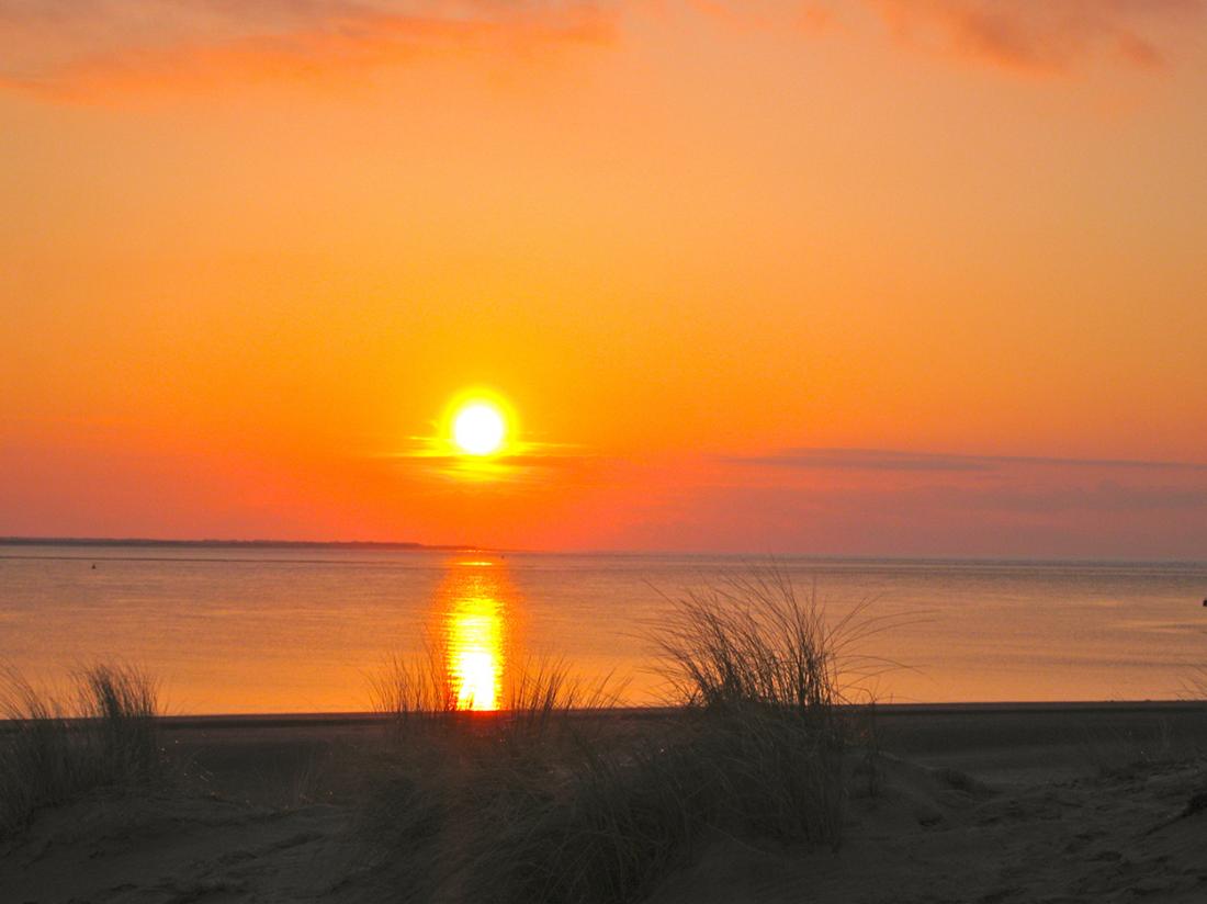 hotel strand hotelarrangement hollum ameland