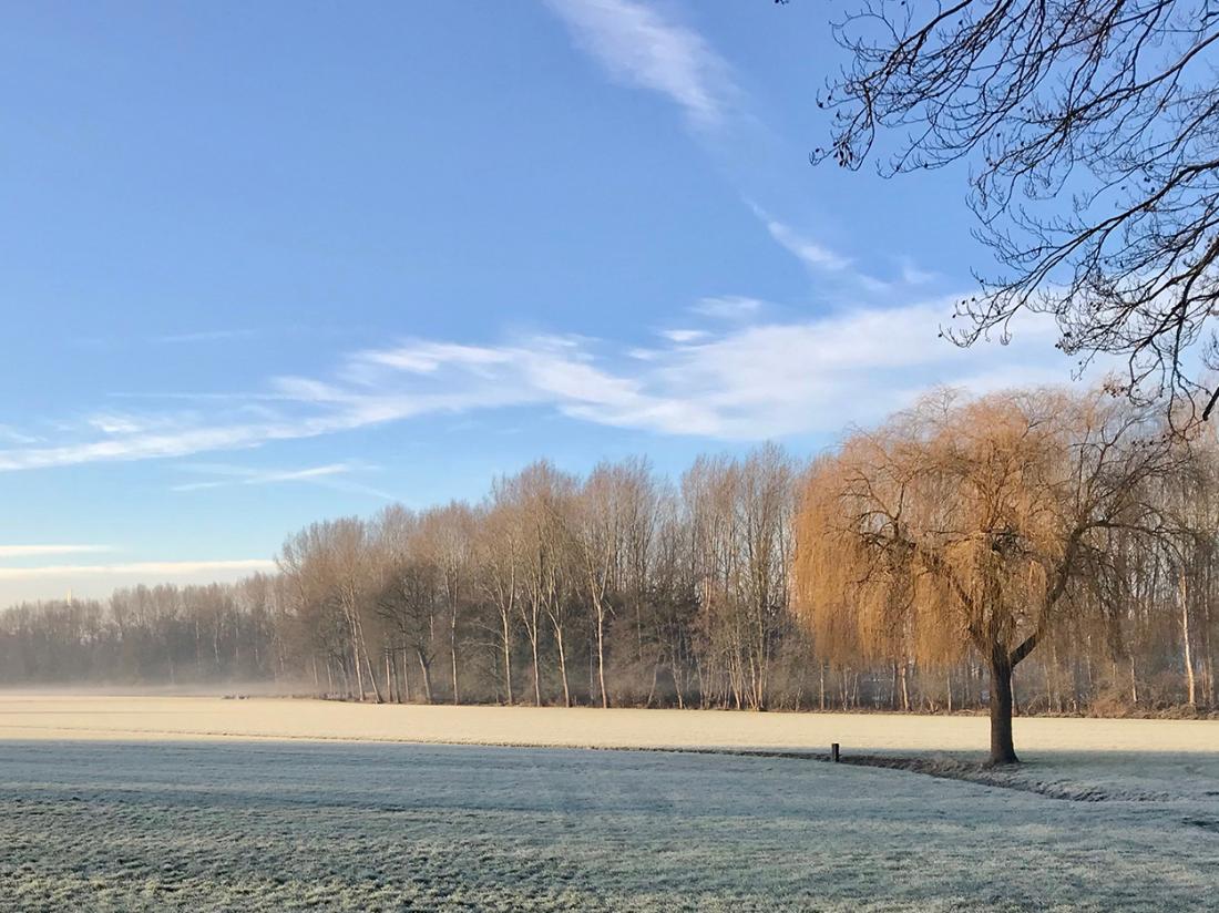 Hotelaanbieding gelderland terbrog winter omgeving