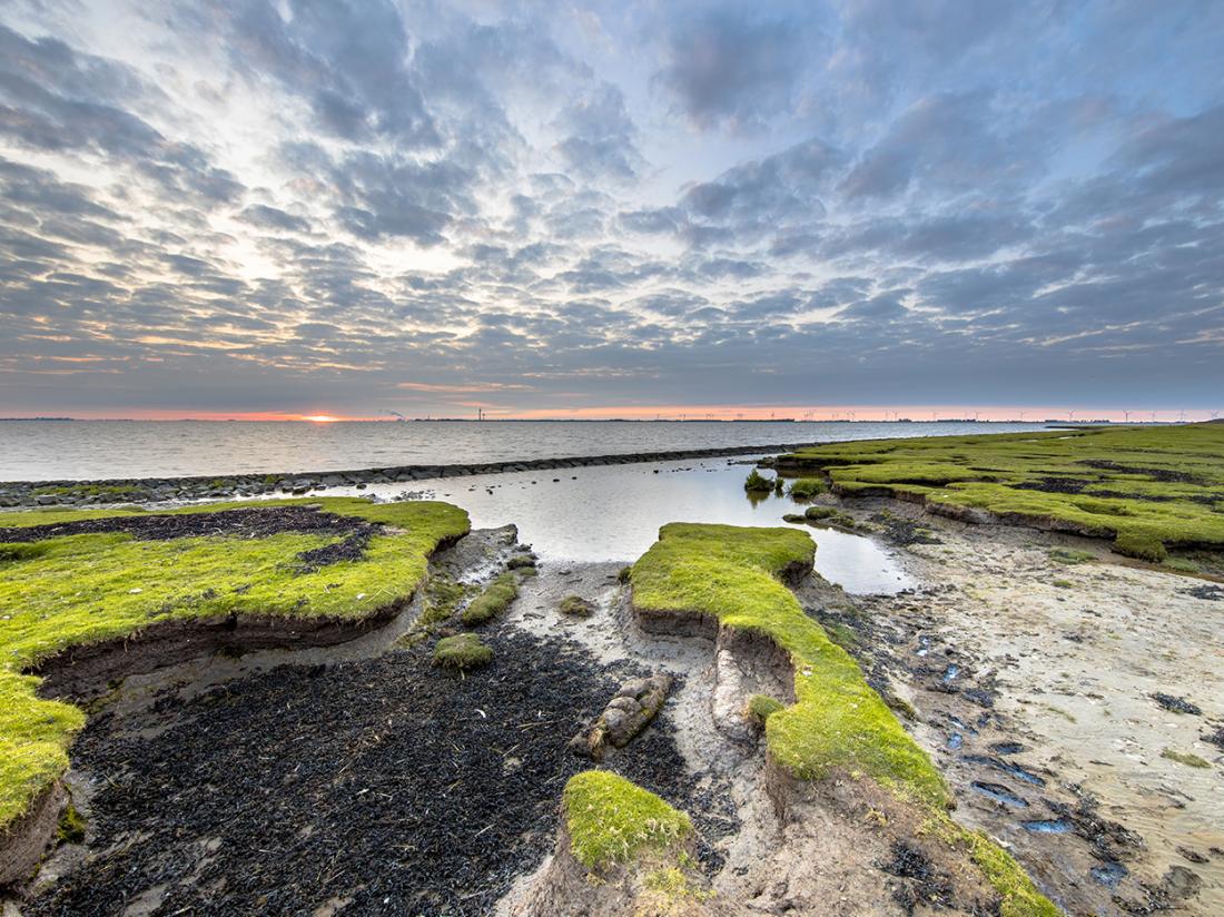 Hotelaanbieding Waddengenot Groningen Pieterburen Nederland omgeving