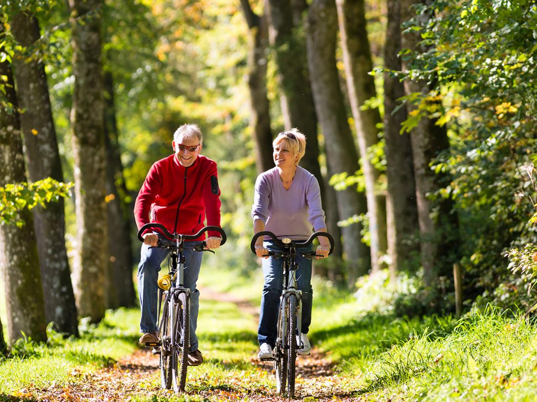 Hotelaanbieding Waddengenot Groningen Pieterburen fietsen fietsroutes