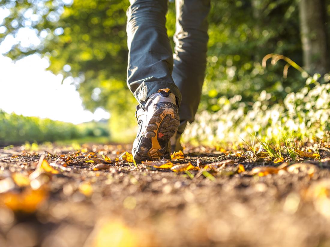 Hotelaanbieding Waddengenot Groningen Pieterburen wandelen wandelroutes