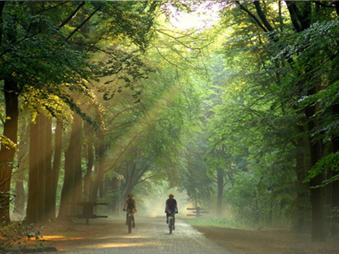 aanbieding hilton hotel Utrecht fietsers bos