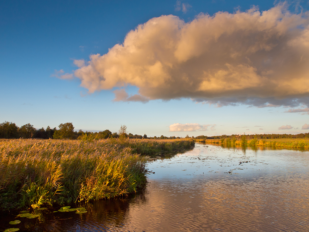 fietsvaantie kop van overijssel weerribben wieden giethoorn