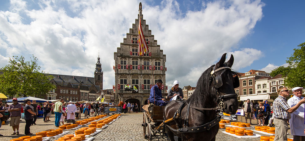 kaasmarkt gouda fietsvakantie groene hart