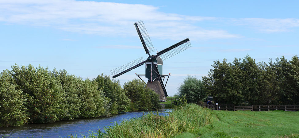 reeuwijkse plassen gouda fietsvakantie