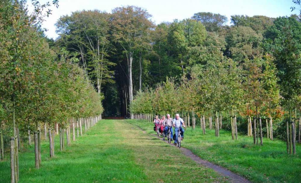 Hotel Zonneheuvel omgeving bos hotelarrangement Gelderland