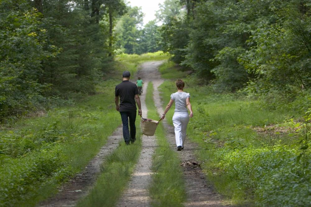 Hotelarrangement Hotel Zonneheuvel wandelen bos natuur omgeving Gelderland