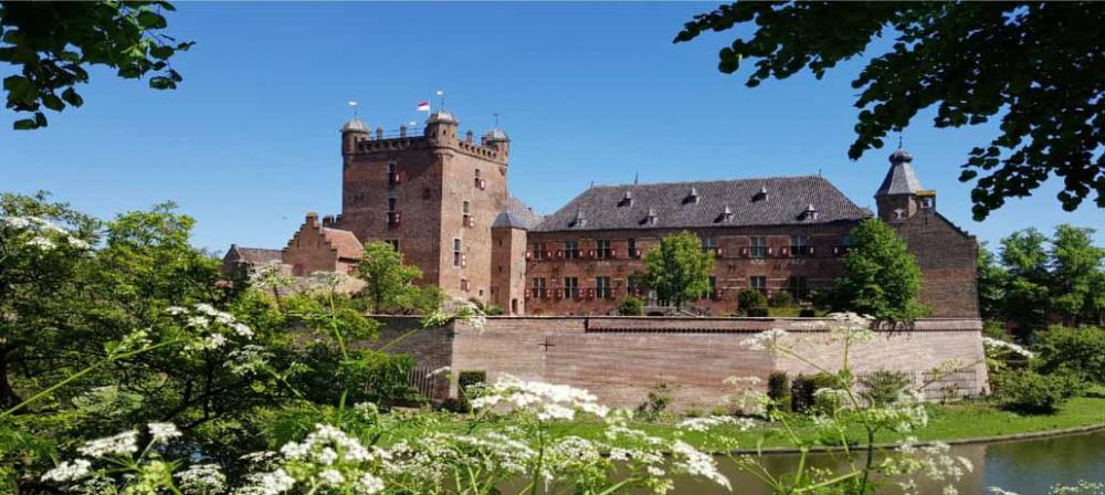 Omgeving bezienswaardigheden hotel Zonneheuvel Gelderland bos