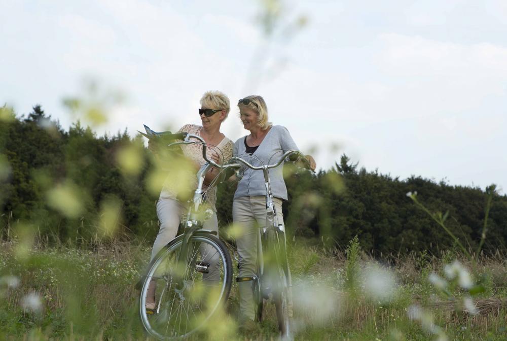 Wandelen fietsen omgeving Gelderland hotelarrangement
