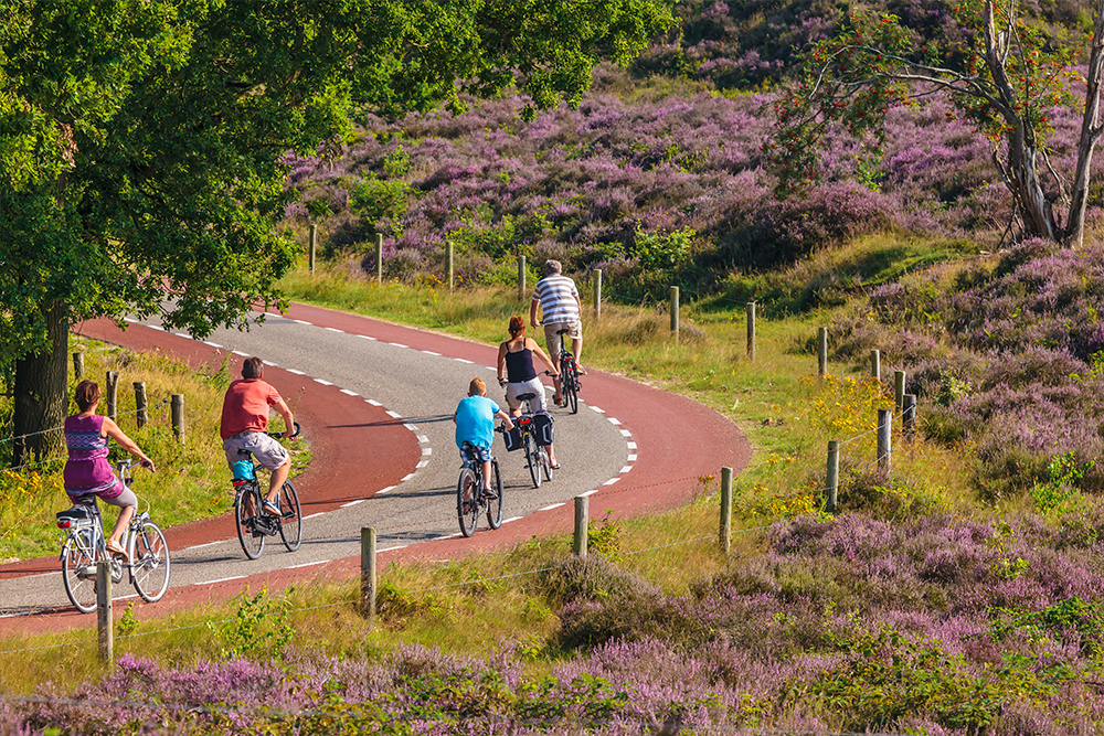 fietsen nationaal park de veluwe