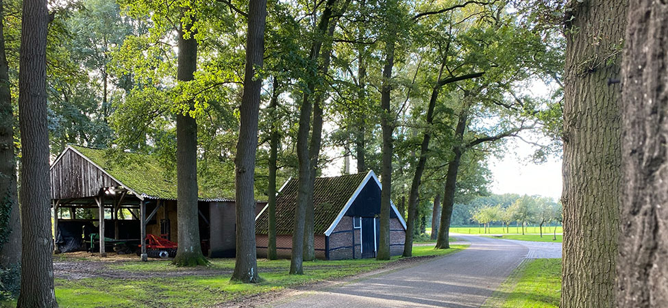 boerderij in twente wandelen hotelvakantie