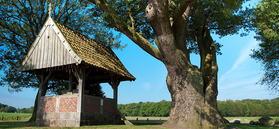 kroezeboom tubbergen wandelen