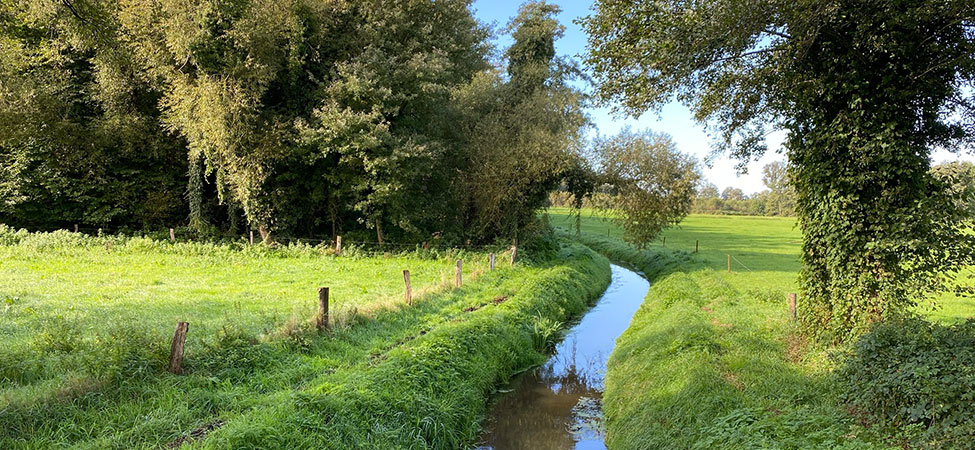 natuur in twente van hotel naar hotel