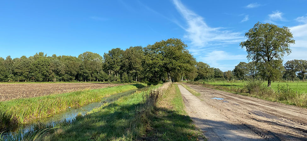 natuur overijssel wandelvakantie