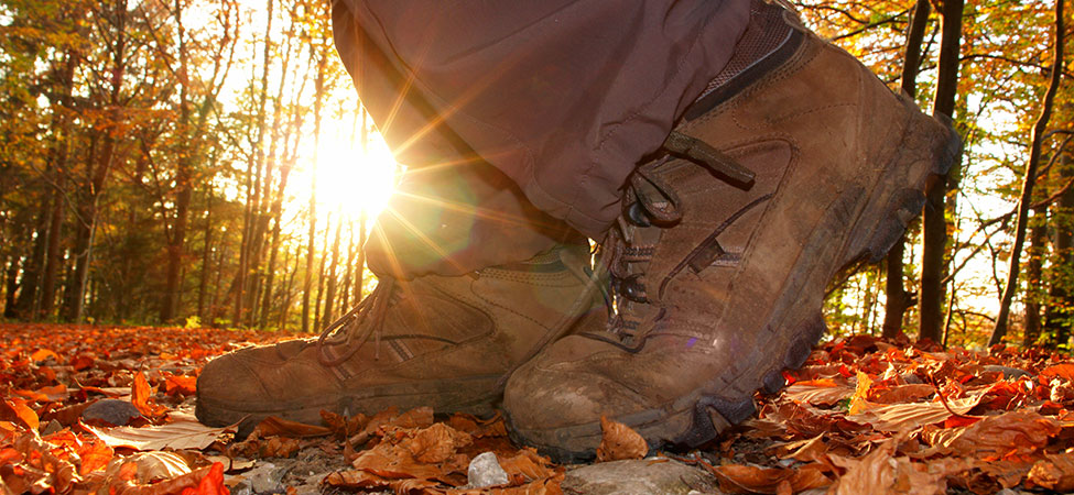 wandelen herfst twente