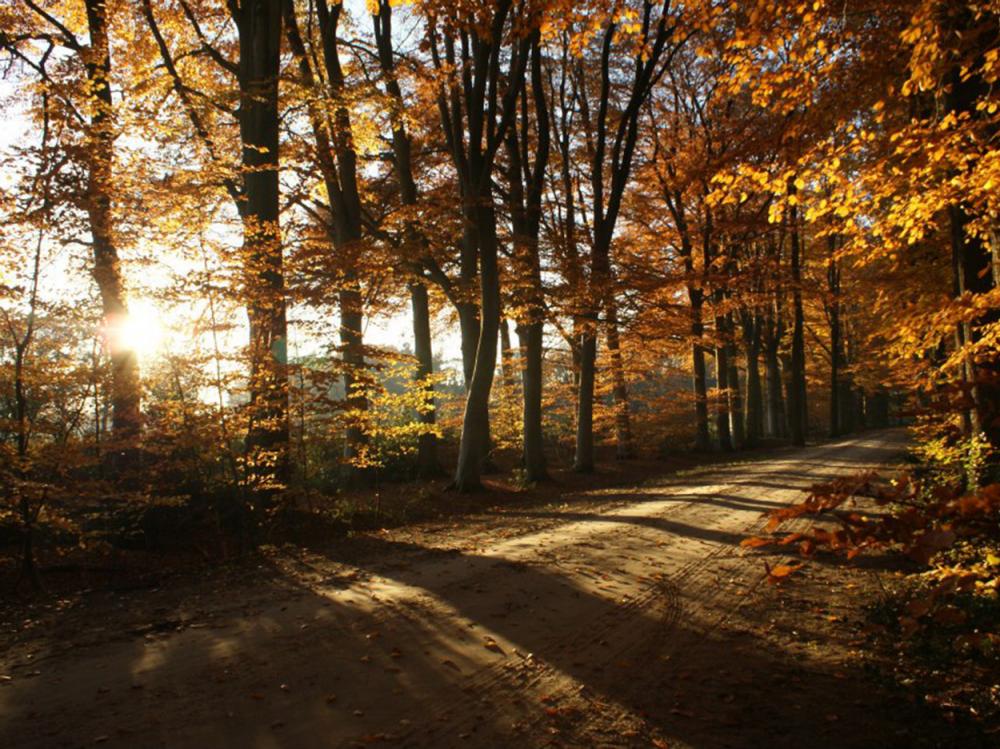 Hotel Hof Van Gelre Lochem Bos