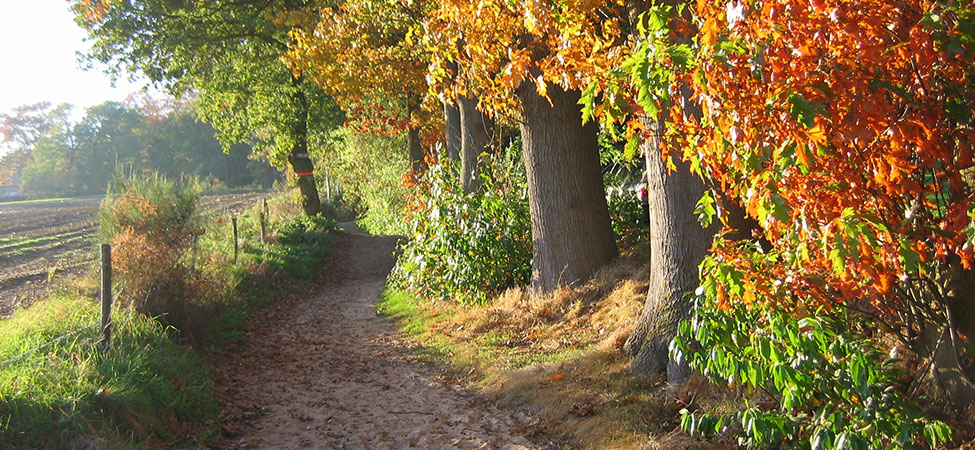 wandelen in de achterhoek hotelarrangement