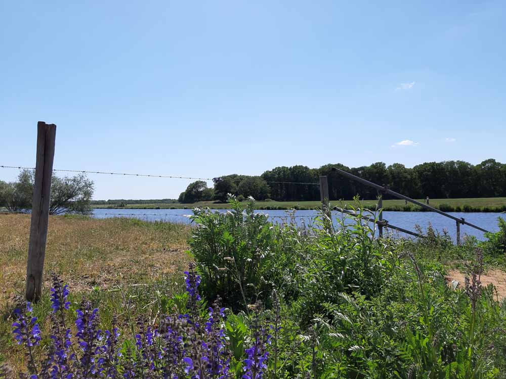 Overijssel hotelaanbieding hotel de Barones omgeving natuur