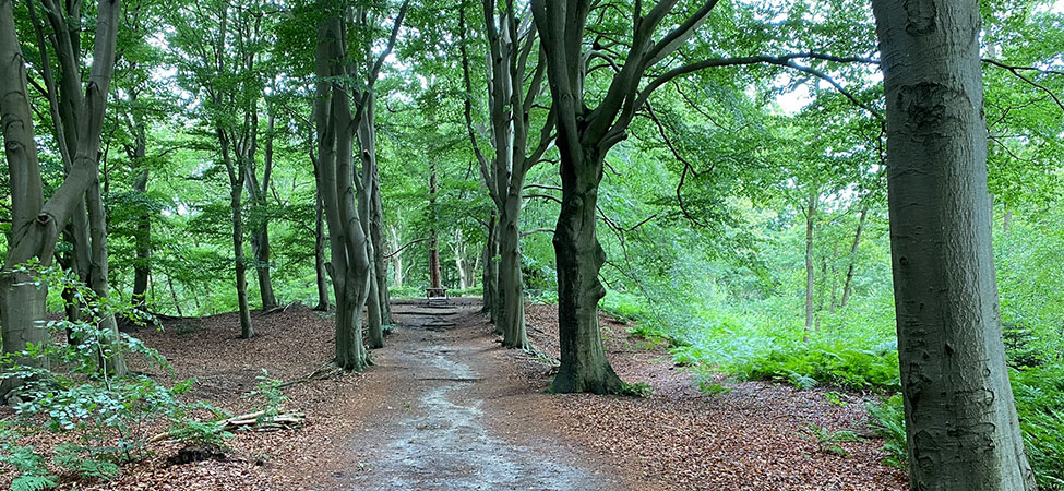 wandelen van ommen naar dalfsen inclusief bagagetransport wandelvakantie