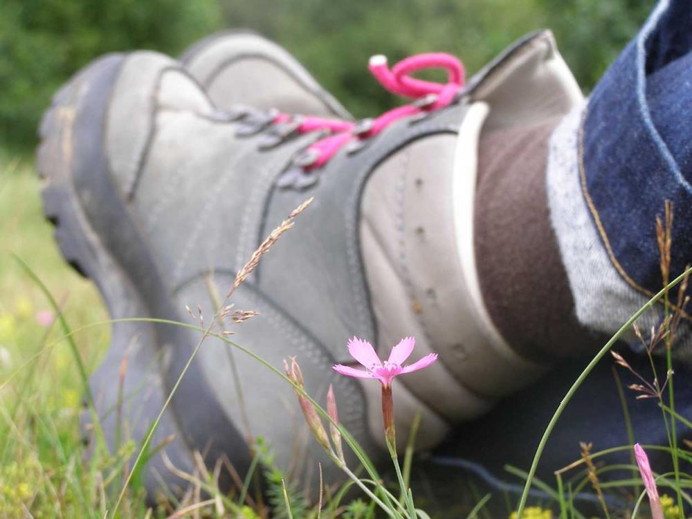 wandelen vechtdal weekendje weg