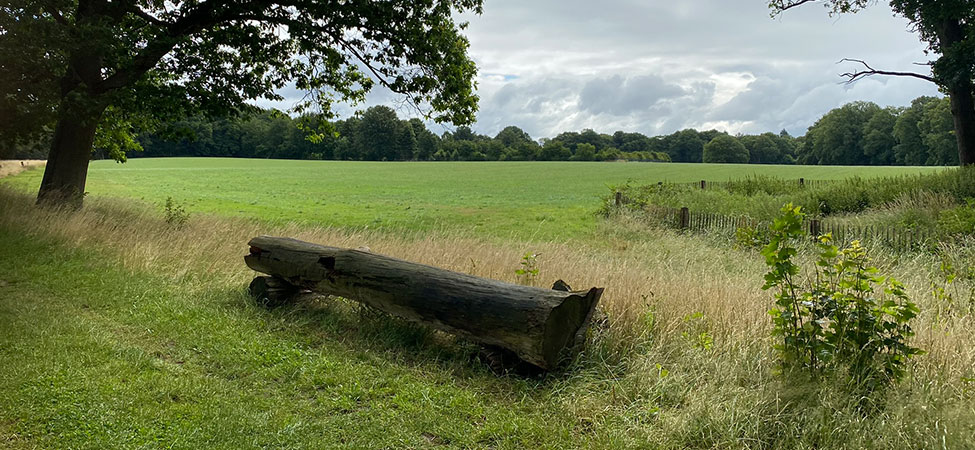 wandelvakantie dalfsen overijssel vechtdal