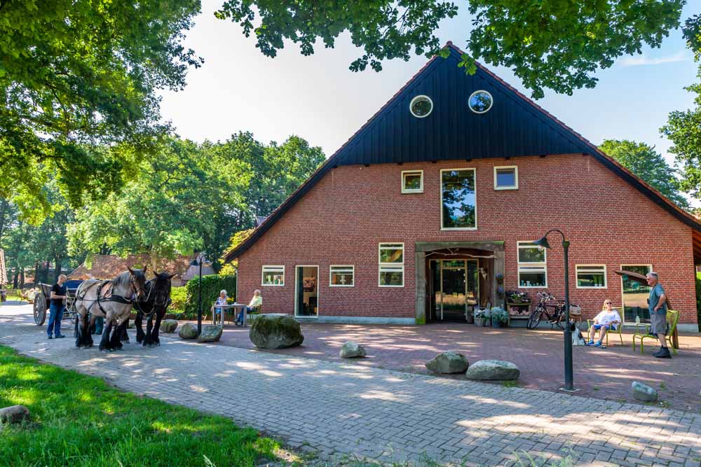 erf vakantie Ootmarsum Hoeve Springendal