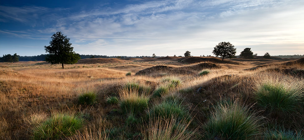 fietsvakantie drents friese wold