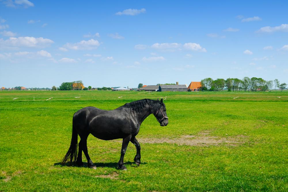 fietsvakantie friesland drenthe