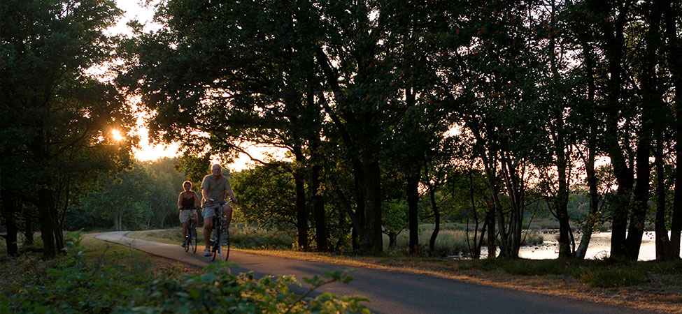 fietsen  in drenthe hotels bagagevervoer