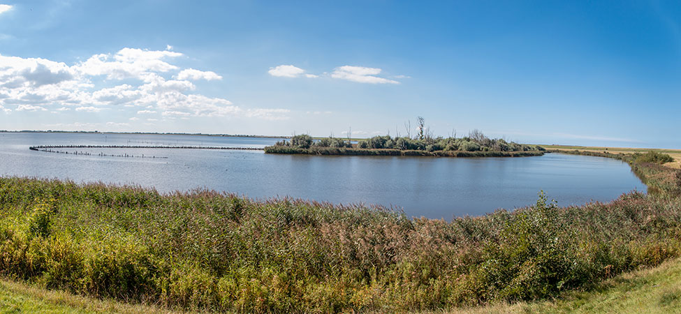 nationaal park lauwersoog fietsvakantie