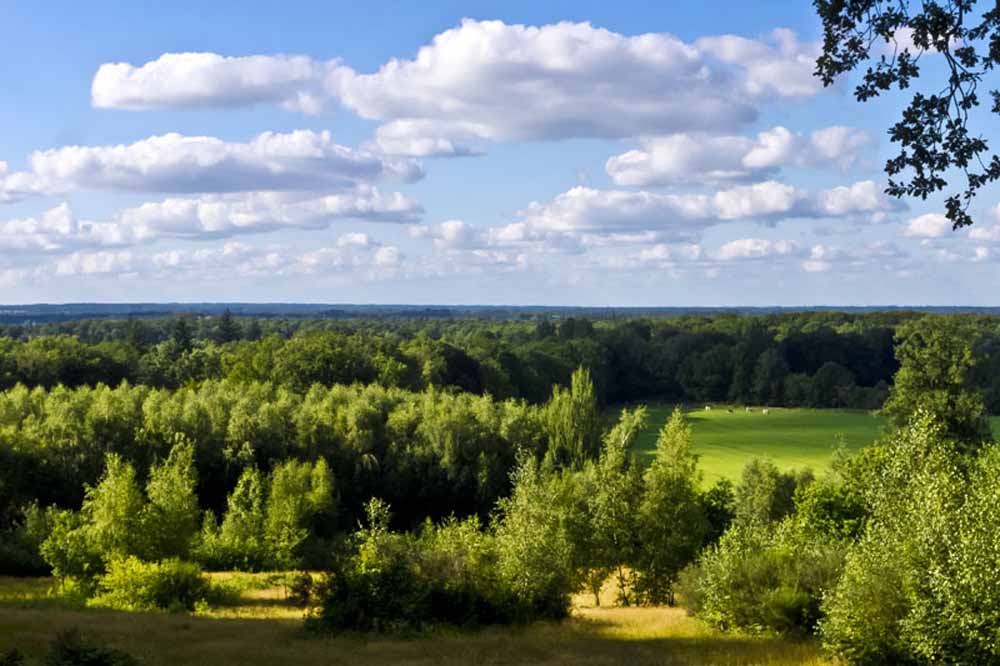 bosrijk gebied twente