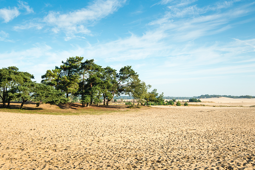 Fietsvakantie Loonse Duinen