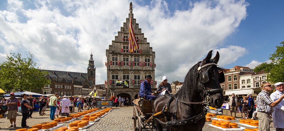 fietsen van hotel naar hotel gouda