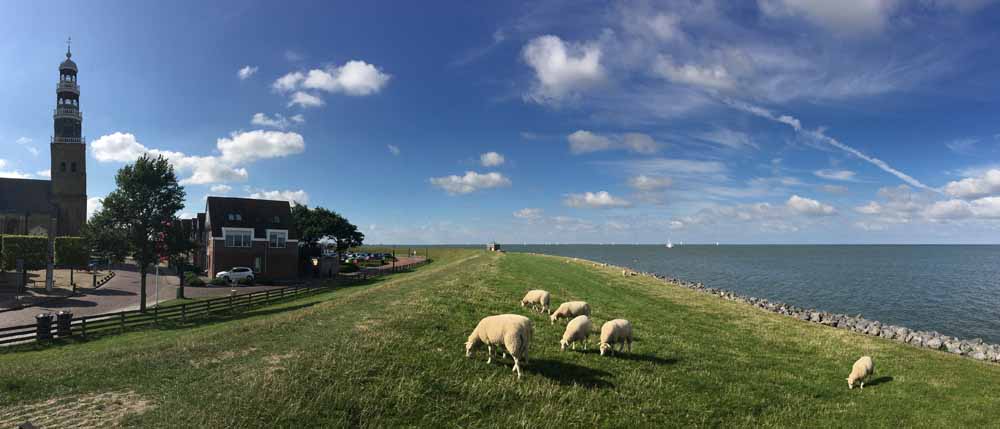 fietsen friesland goedverblijf