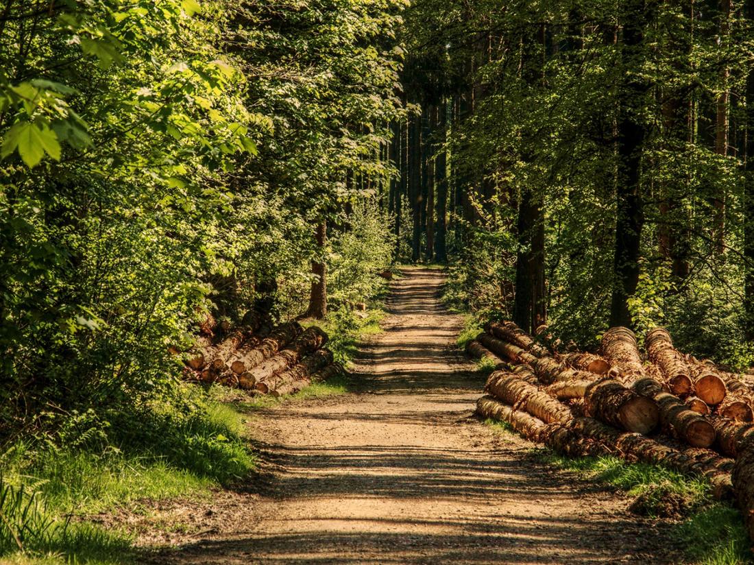Omgeving