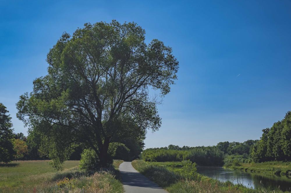 Omgeving Gelderland Achterhoek EIbergen