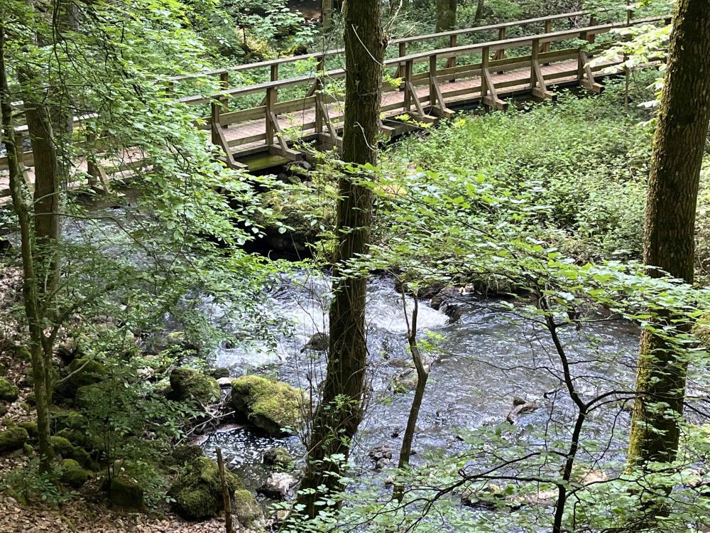 Omgeving Eifel Nationaal Park