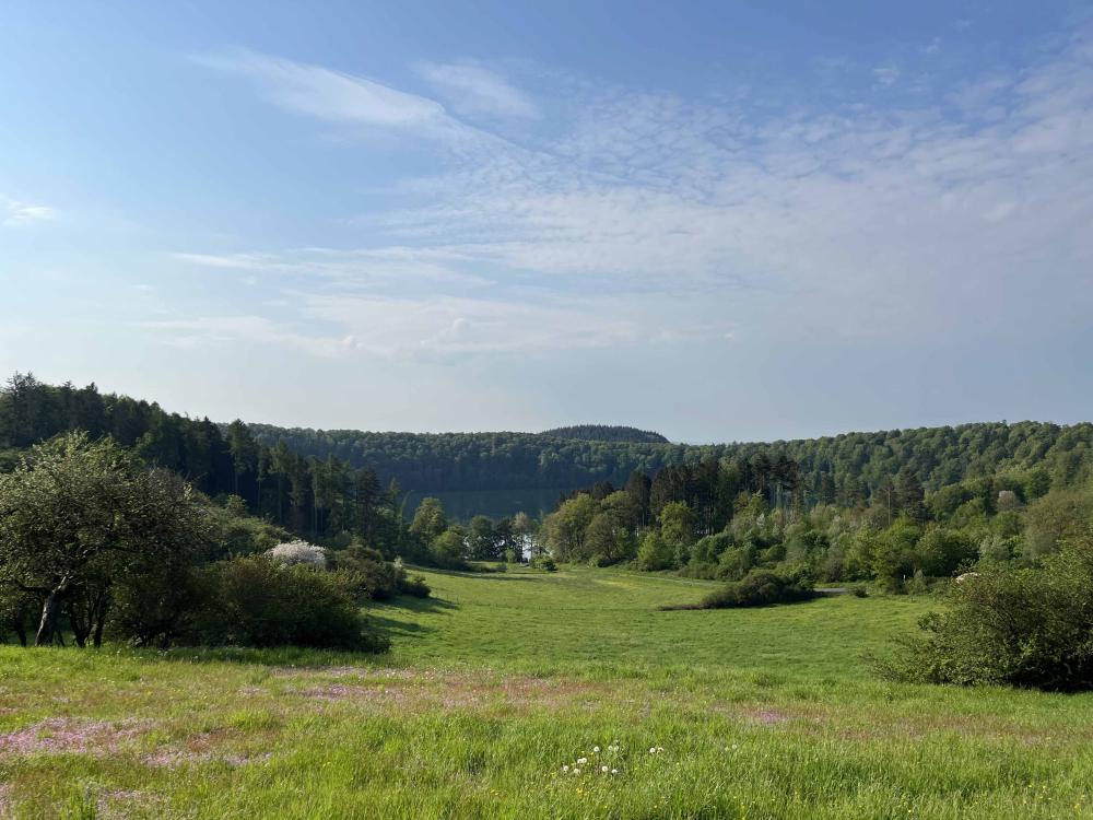 Omgeving Vulkaaneifel Gillenfeld