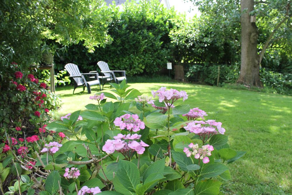 tuin zitje bb kunstkamer franeker