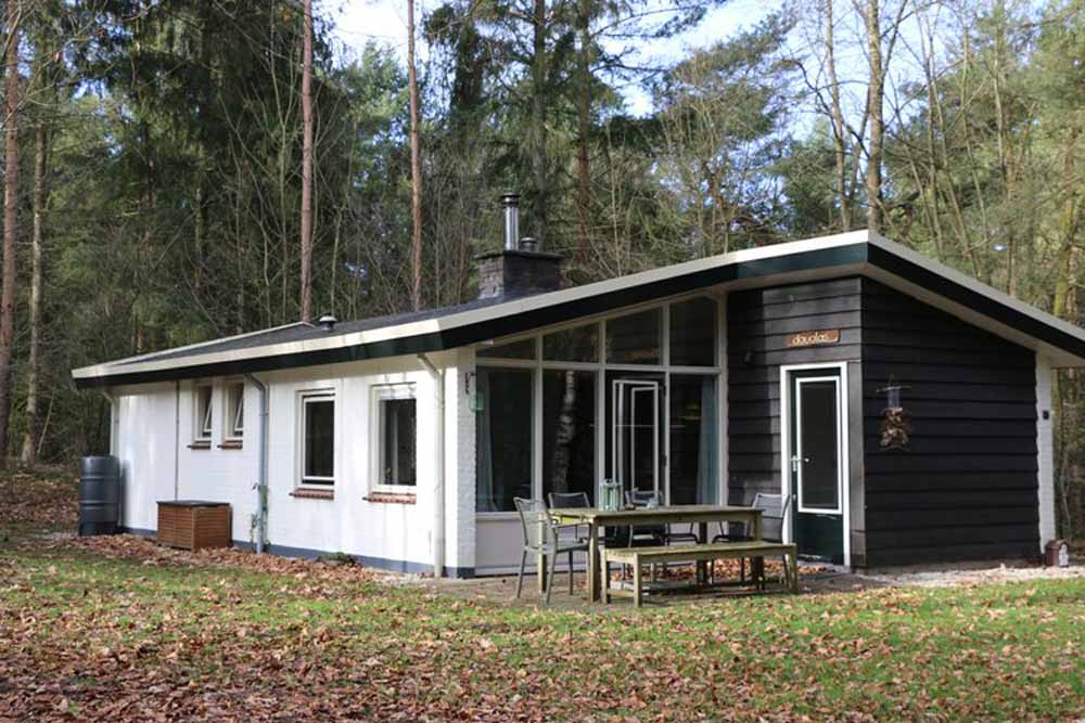 4 persoons bungalow douglad