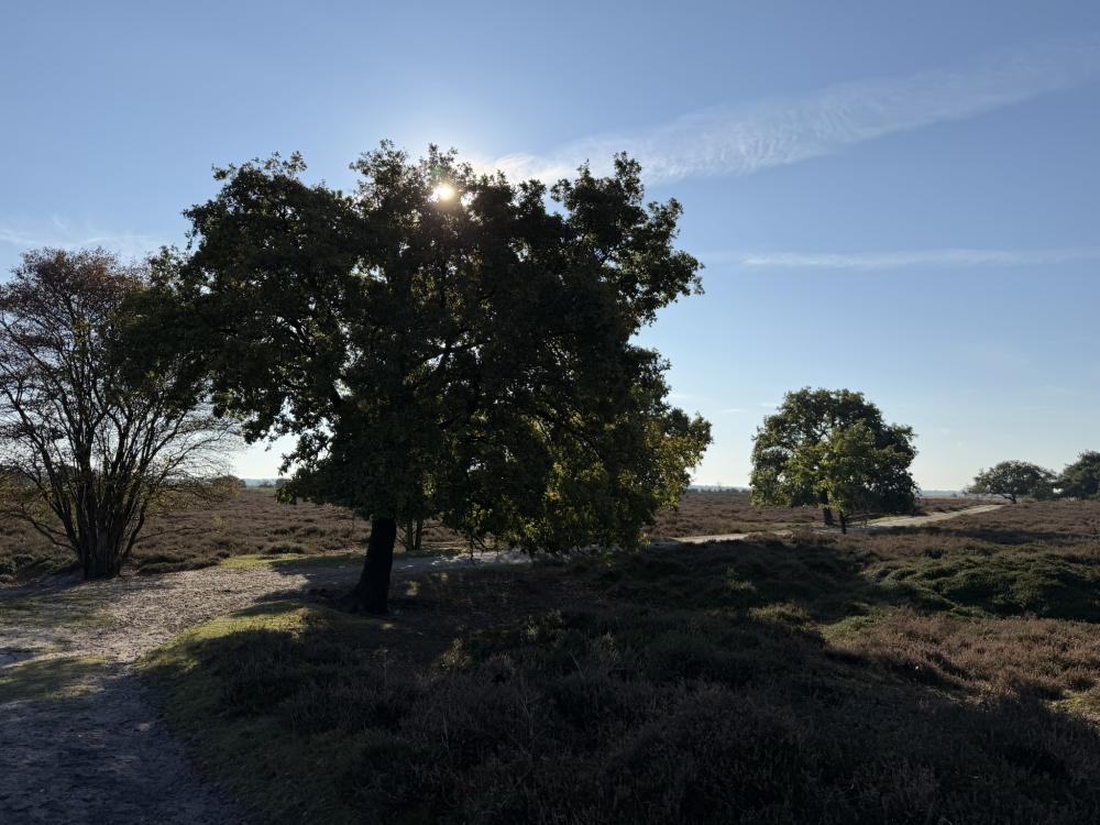 natuur hardenberg engbersdijksvenen hotelaanbieding