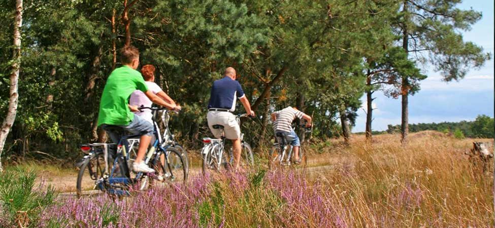 hotel kortingsactie gelderland veluwe hotel stakenberg elspeet