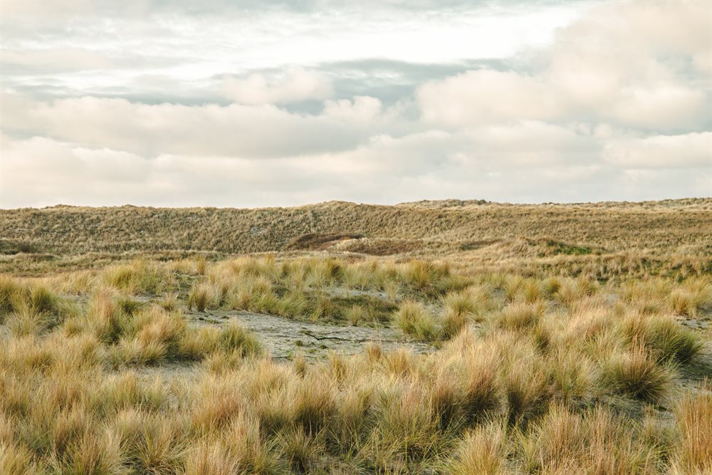 westcord strandhotel seeduyn hotel in nederland vlieland waddeneiland