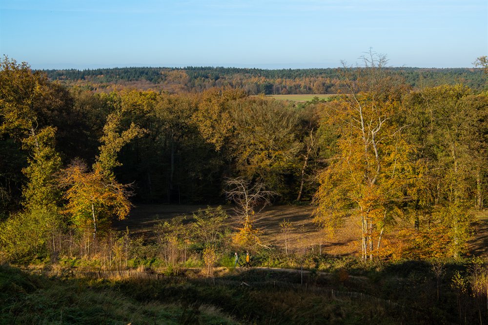 betaalbare hotels gelderland hotel het montferland zeddam