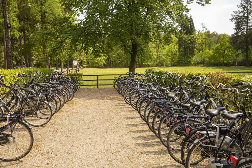 Wipselberg Exterieur Fietsverhuur 443