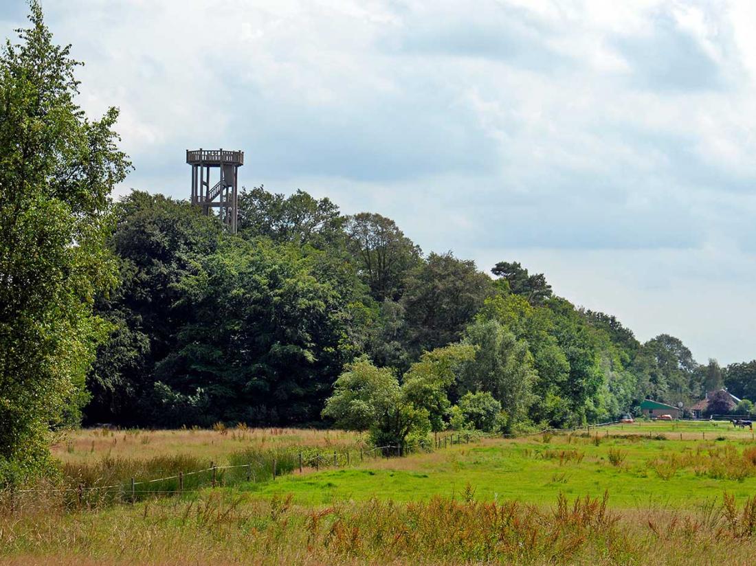 Uitkijktoren Belvedere shuterstock omgeving friesland